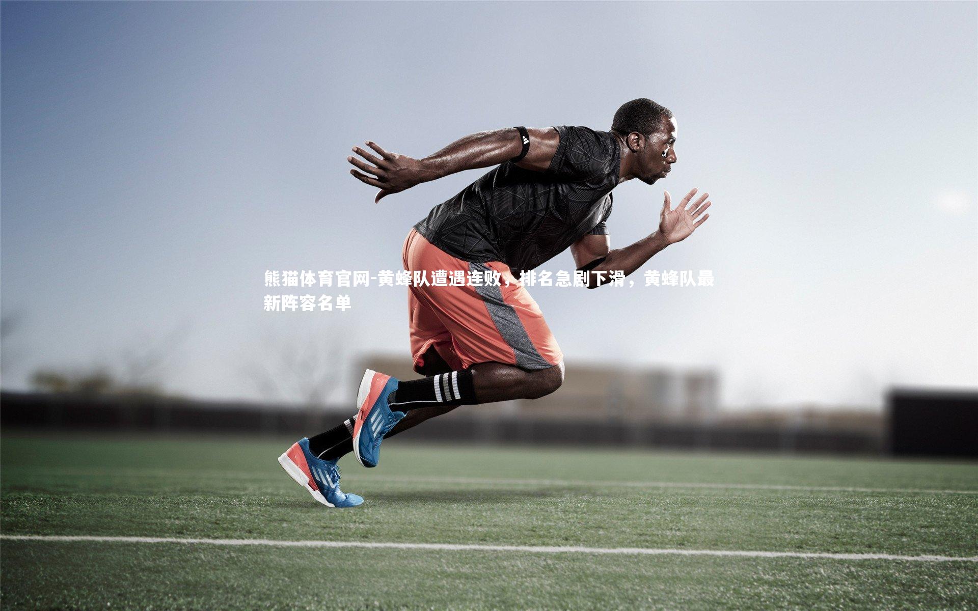 熊猫体育官网-黄蜂队遭遇连败，排名急剧下滑，黄蜂队最新阵容名单