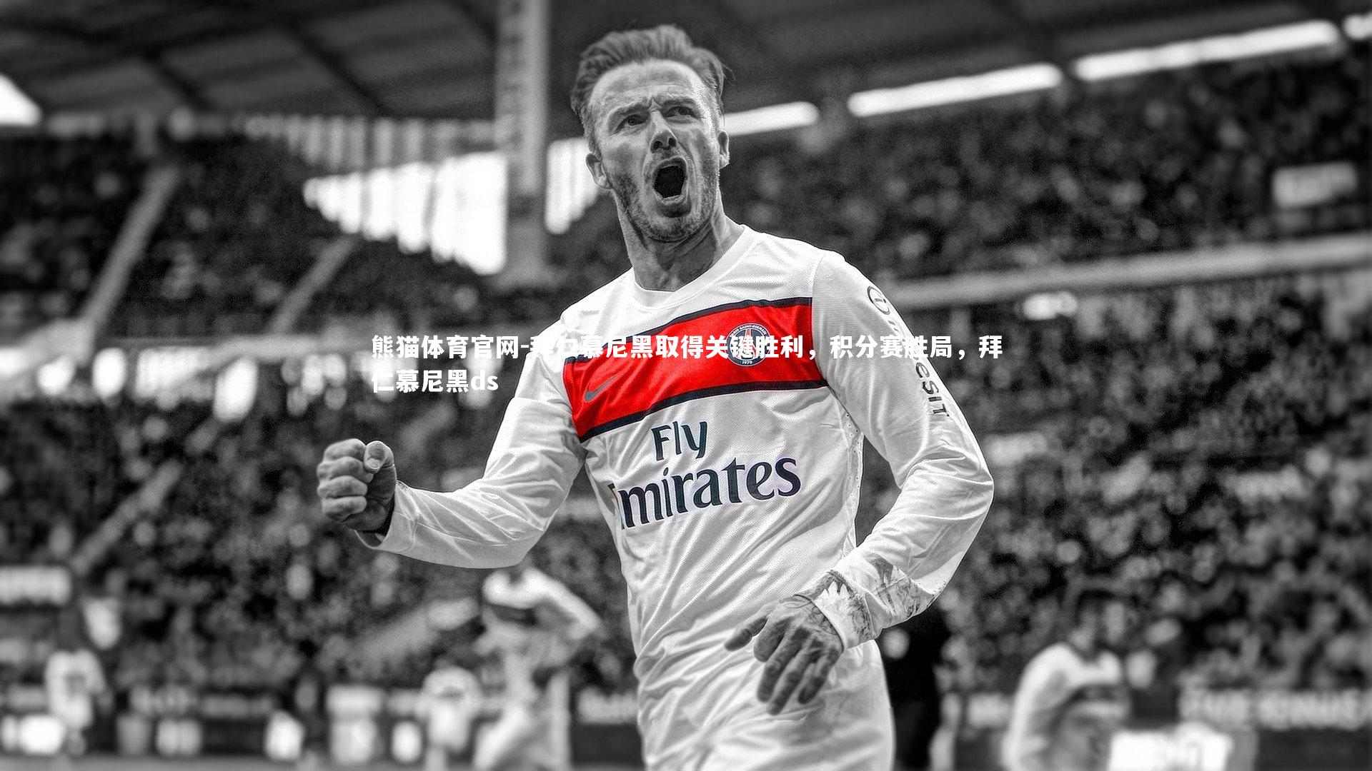 熊猫体育官网-拜仁慕尼黑取得关键胜利，积分赛胜局，拜仁慕尼黑ds