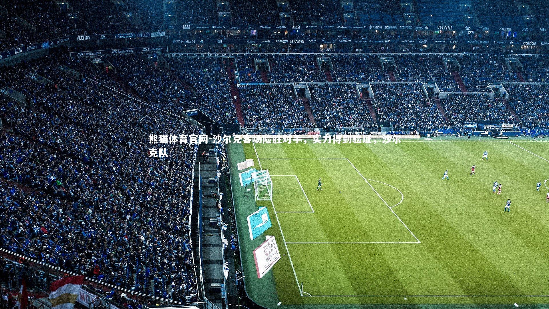 沙尔克客场险胜对手，实力得到验证，沙尔克队