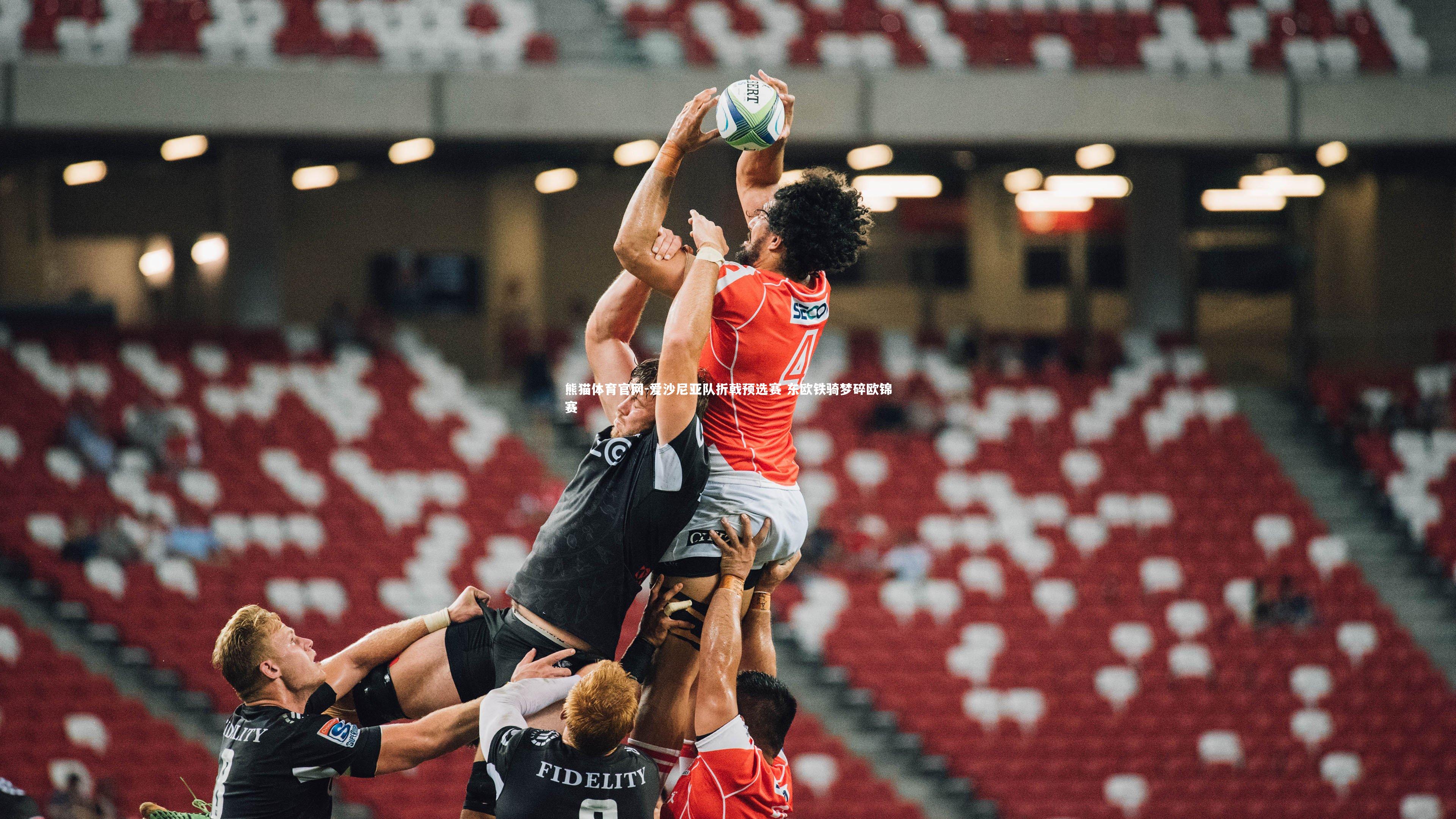 熊猫体育官网-爱沙尼亚队折戟预选赛 东欧铁骑梦碎欧锦赛