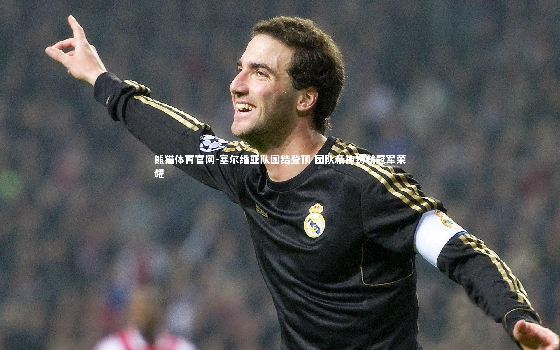 熊猫体育官网-塞尔维亚队团结登顶 团队精神铸就冠军荣耀