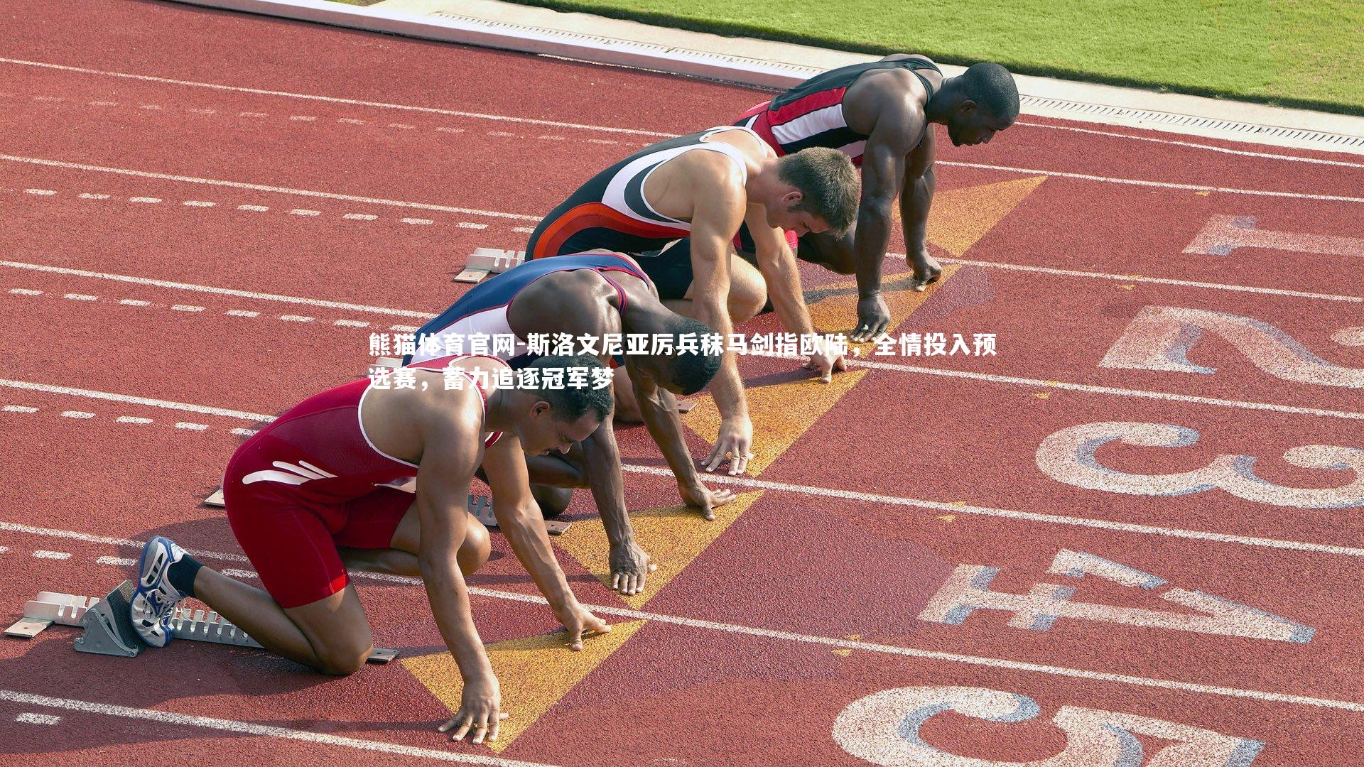 熊猫体育官网-斯洛文尼亚厉兵秣马剑指欧陆，全情投入预选赛，蓄力追逐冠军梦